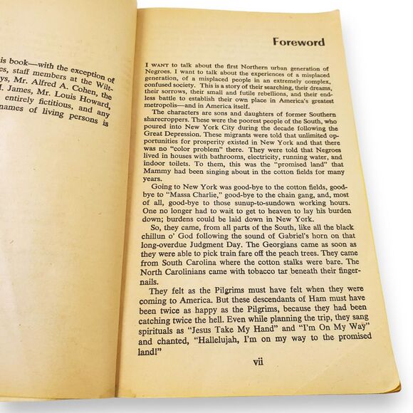 Manchild in the Promised Land Claude Brown Vintage Paperback Biography Memoir - Picture 7 of 14